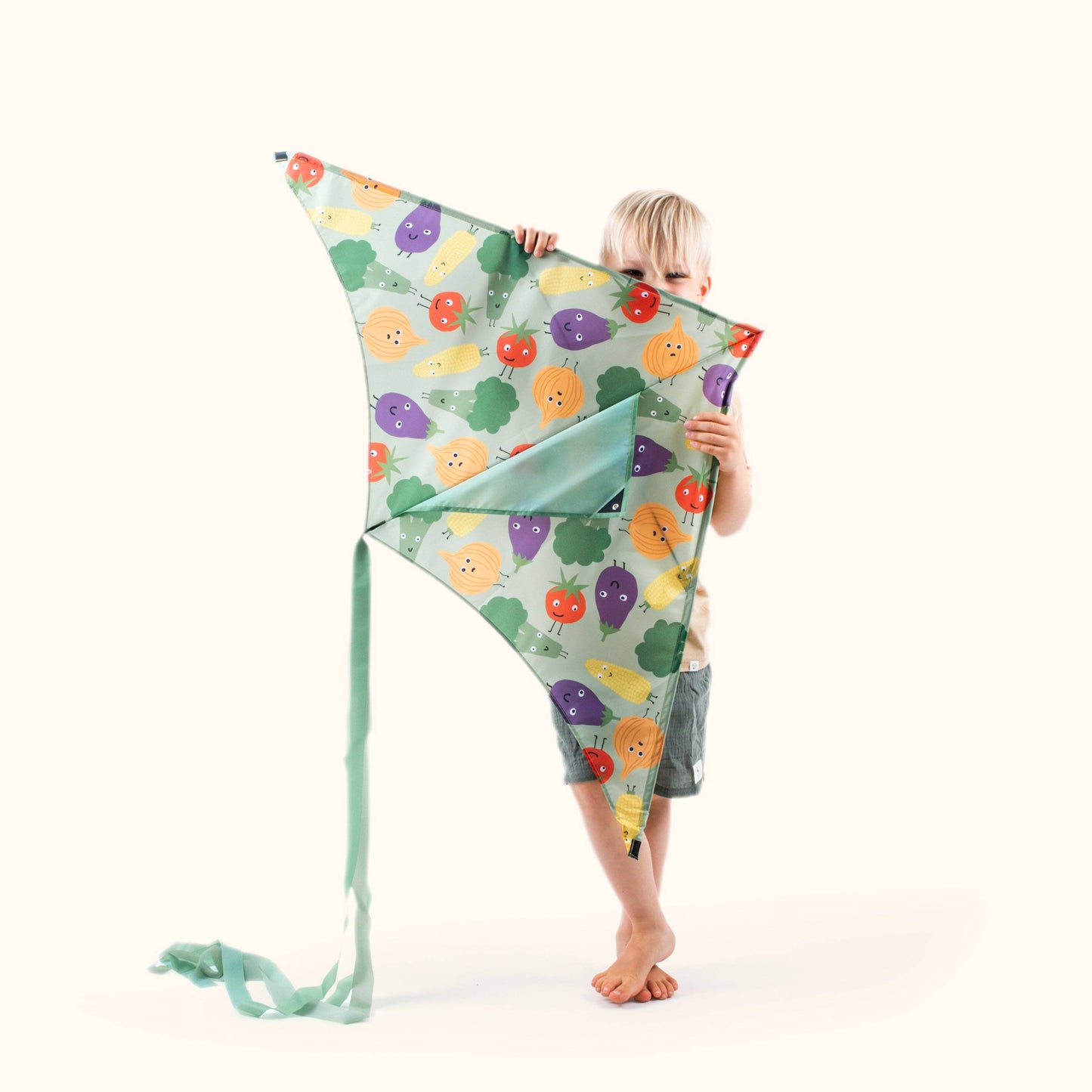 Eco Beach Ltd - Ocean - Sustainable Kite