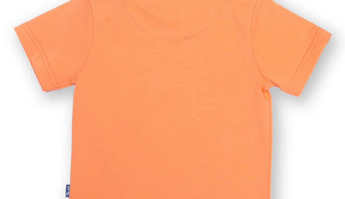Kite Sailor Snail T-shirt 3-24 Months