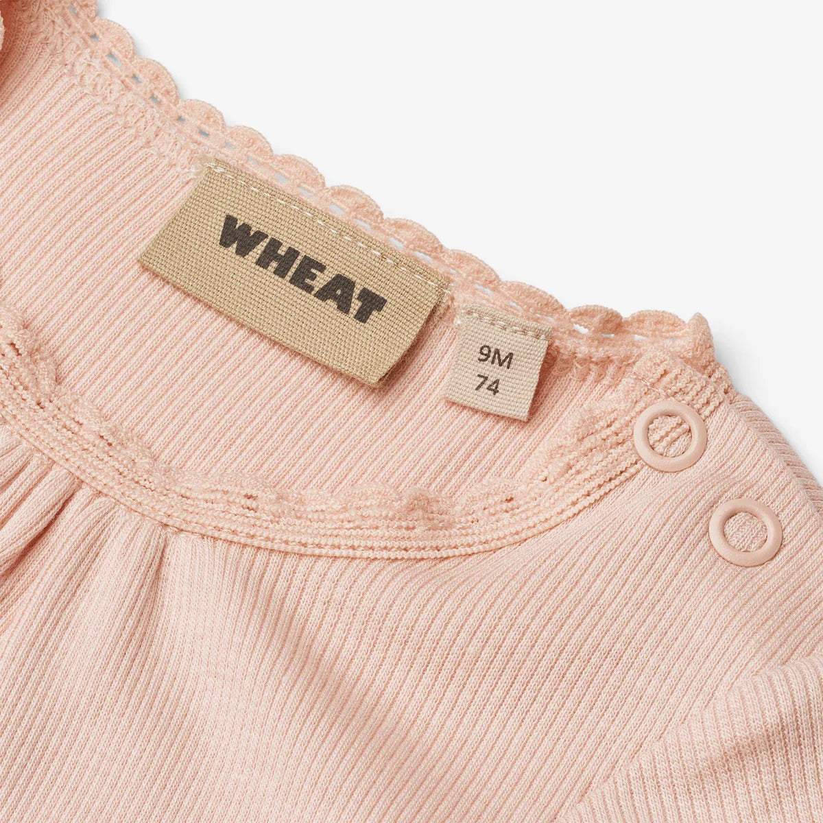 WHEAT Rib Body S/S Edna