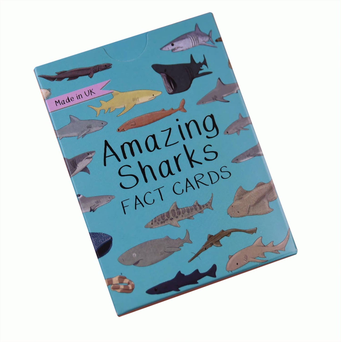 Button & Squirt - Amazing Sharks Fact Cards