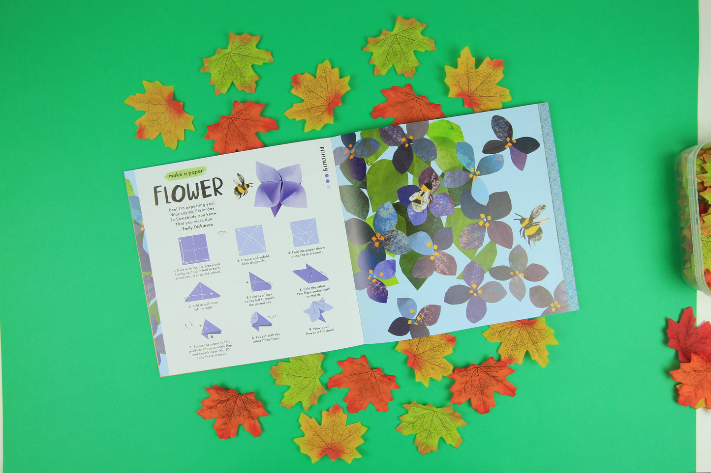 Nosy Crow - National Trust: Nature Origami