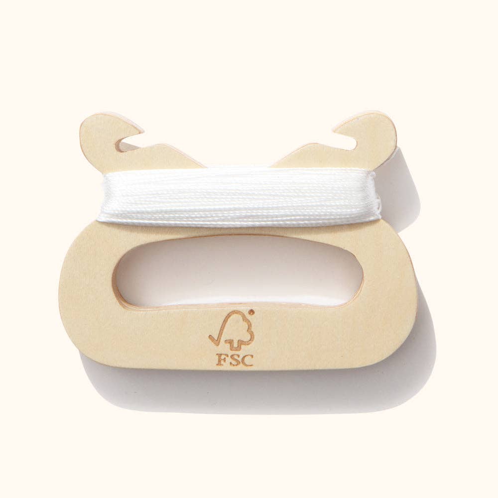 Eco Beach Ltd - Mini-beasts - Sustainable Kite