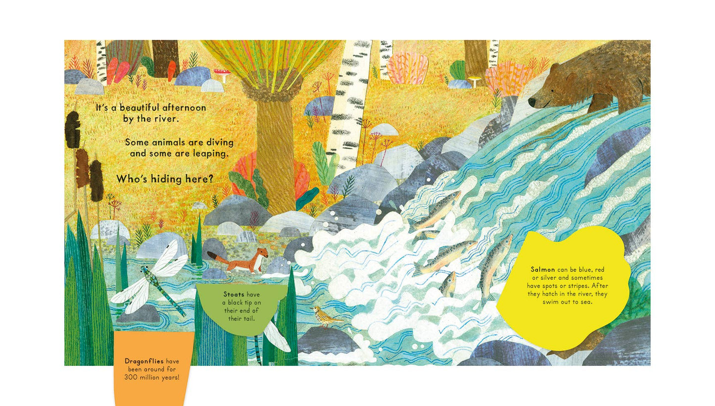 Nosy Crow - National Trust: Who's Hiding on the River?