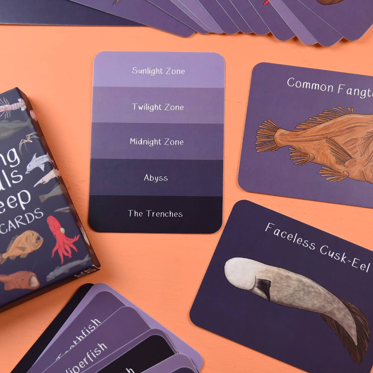 Button & Squirt - Amazing Animals of the Deep Fact Cards