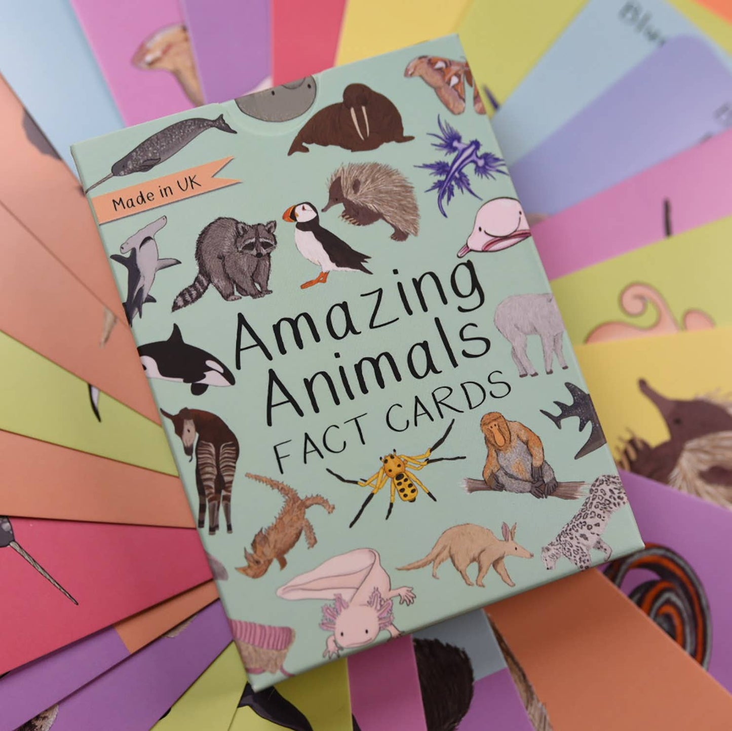 Button & Squirt - Amazing Animals Fact Cards Set One