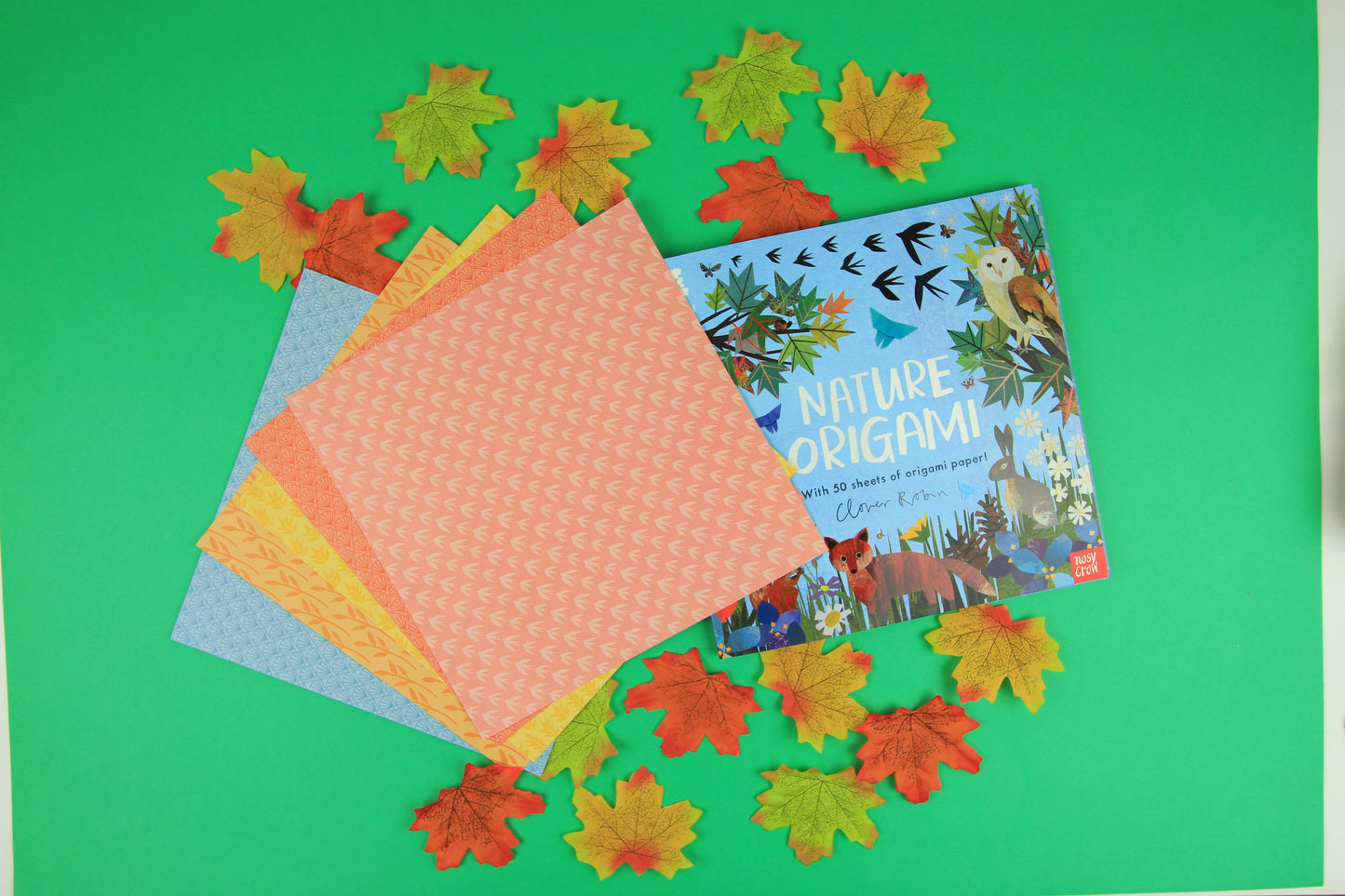 Nosy Crow - National Trust: Nature Origami