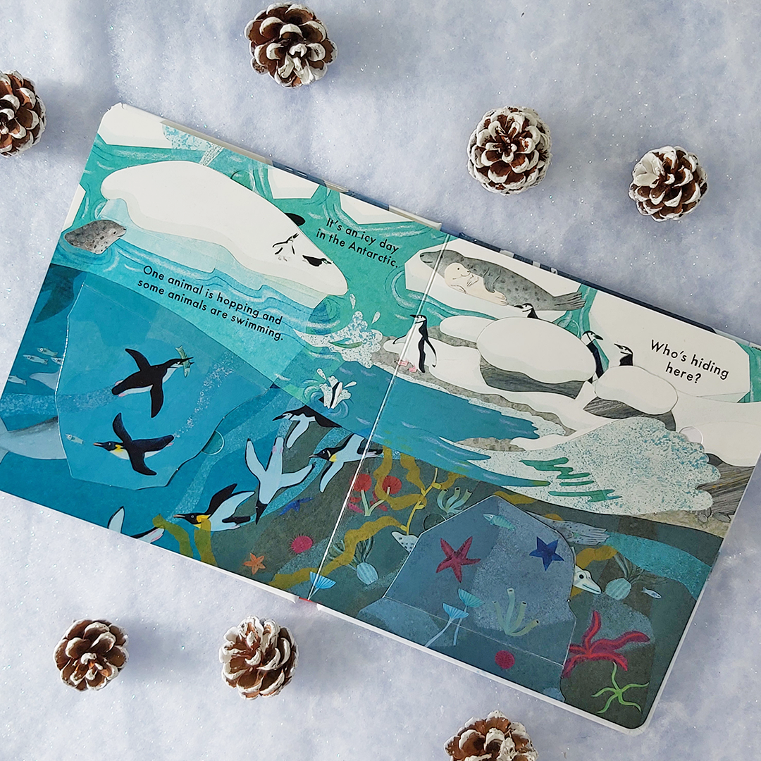 Nosy Crow - National Trust: Who's Hiding in the Snow?