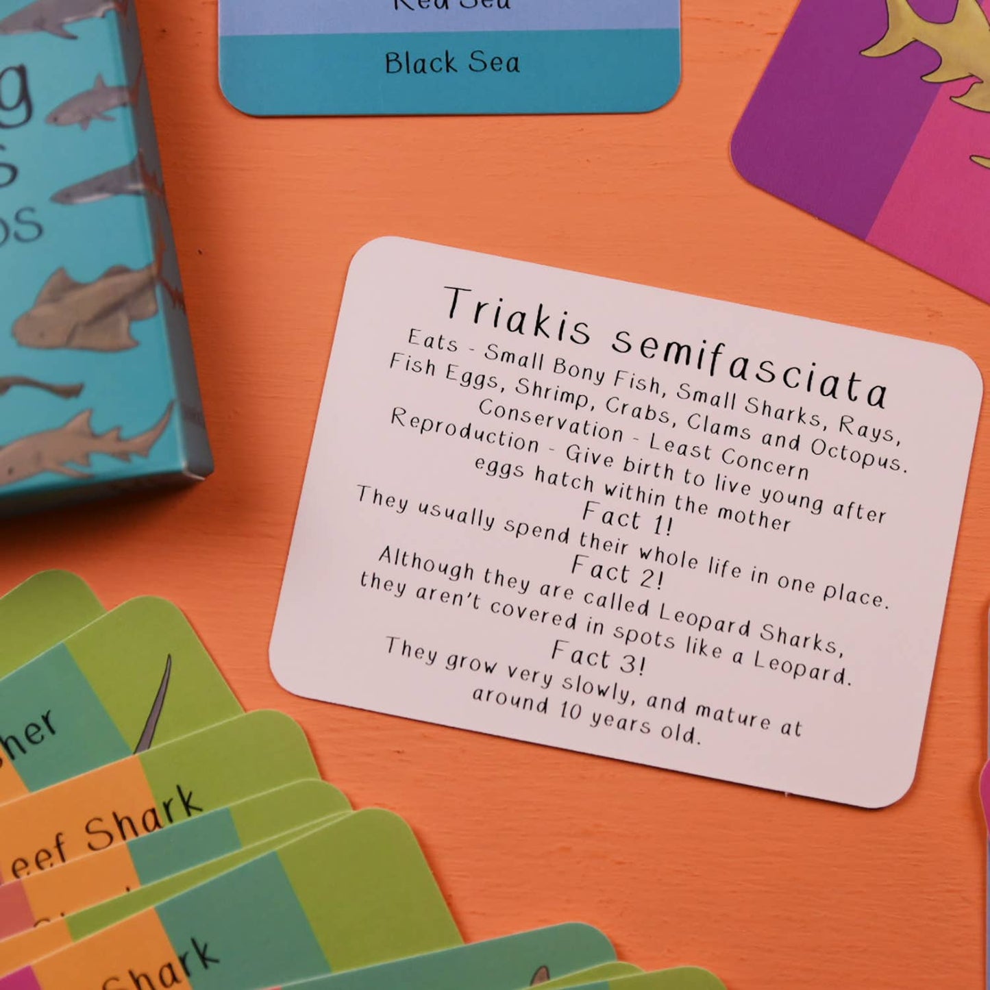 Button & Squirt - Amazing Sharks Fact Cards
