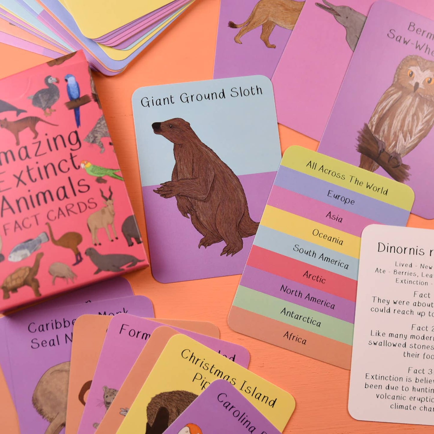 Button & Squirt - Amazing Extinct Animals Fact Cards