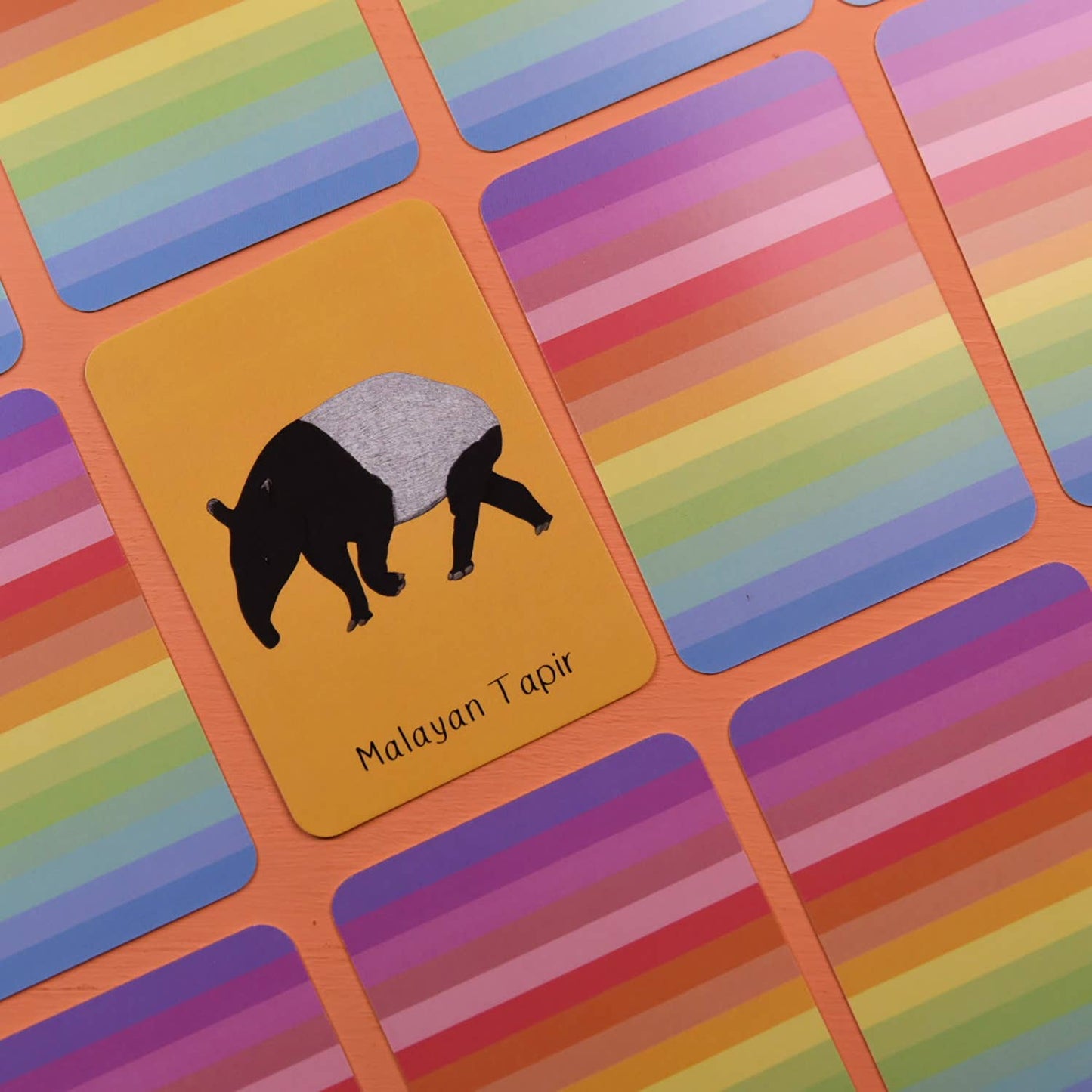 Button & Squirt - Amazing Baby Animals Matching Pairs