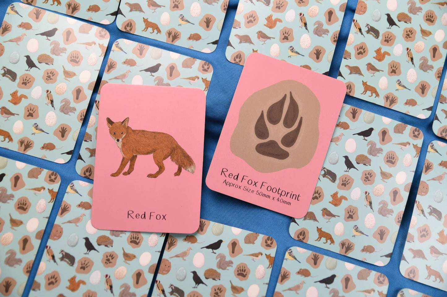 Button & Squirt - Amazing British Nature Matching Pairs