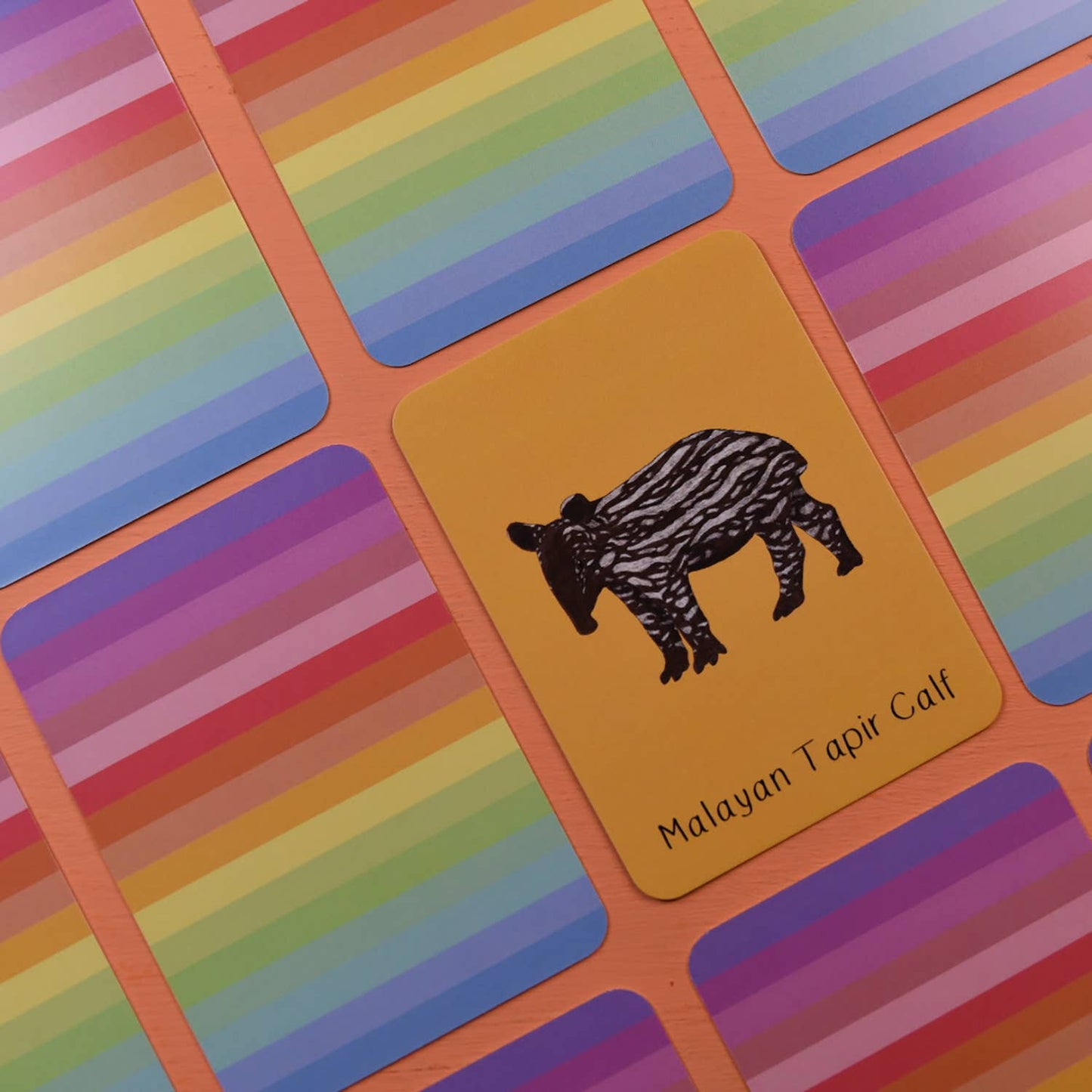 Button & Squirt - Amazing Baby Animals Matching Pairs