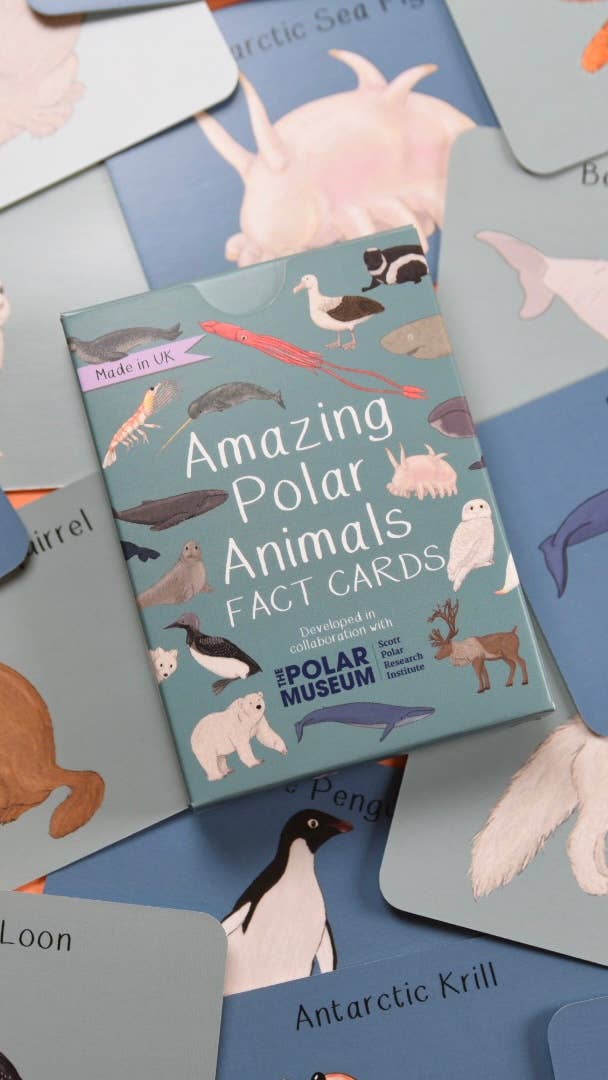 Button & Squirt - Amazing Polar Animals Fact Cards
