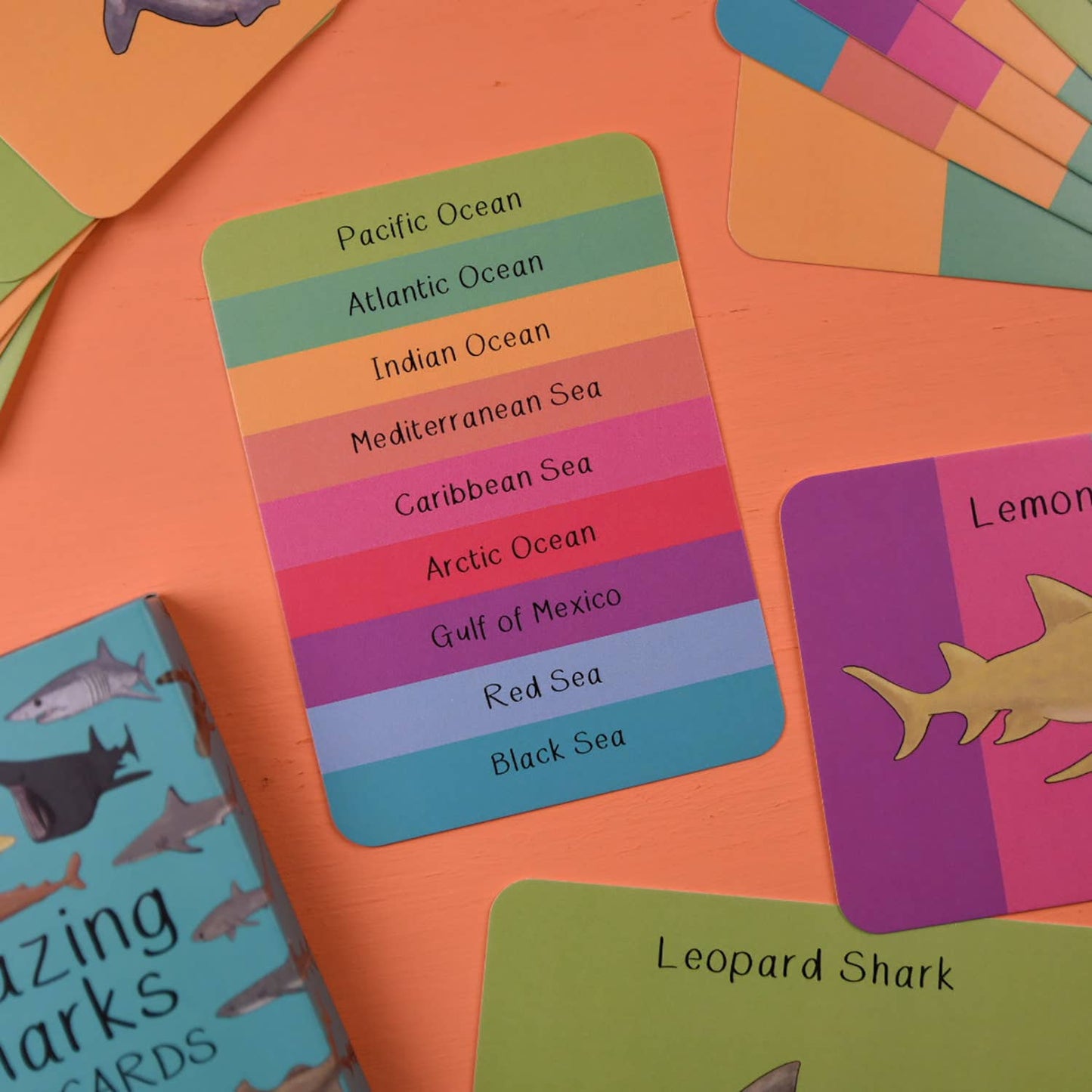 Button & Squirt - Amazing Sharks Fact Cards