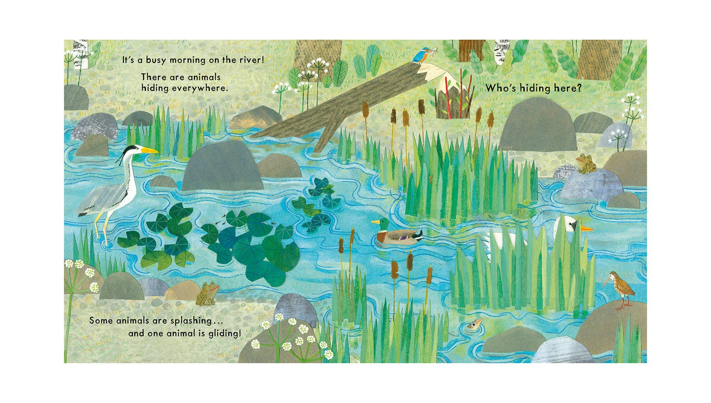 Nosy Crow - National Trust: Who's Hiding on the River?