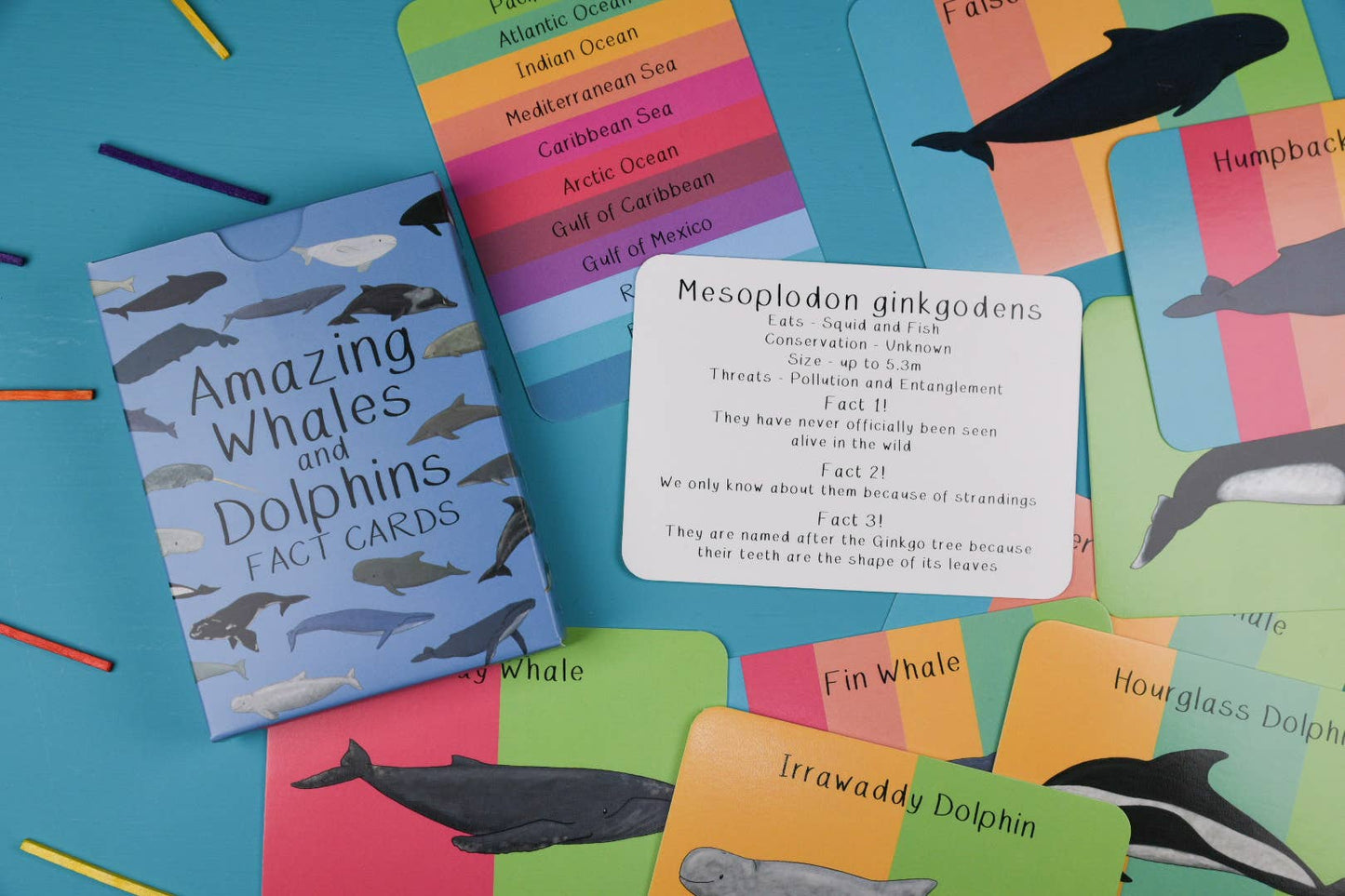 Button & Squirt - Amazing Whales and Dolphins Fact Cards