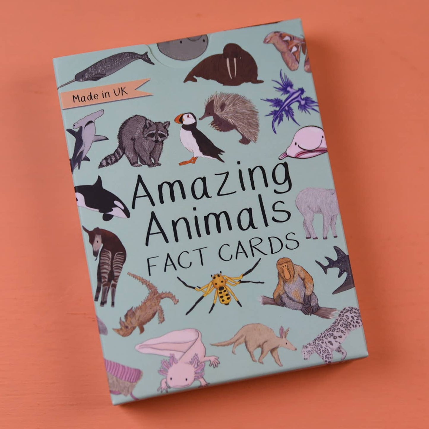 Button & Squirt - Amazing Animals Fact Cards Set One