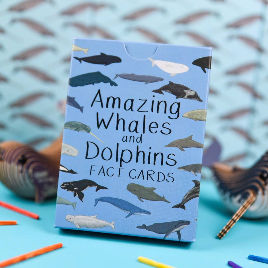 Button & Squirt - Amazing Whales and Dolphins Fact Cards