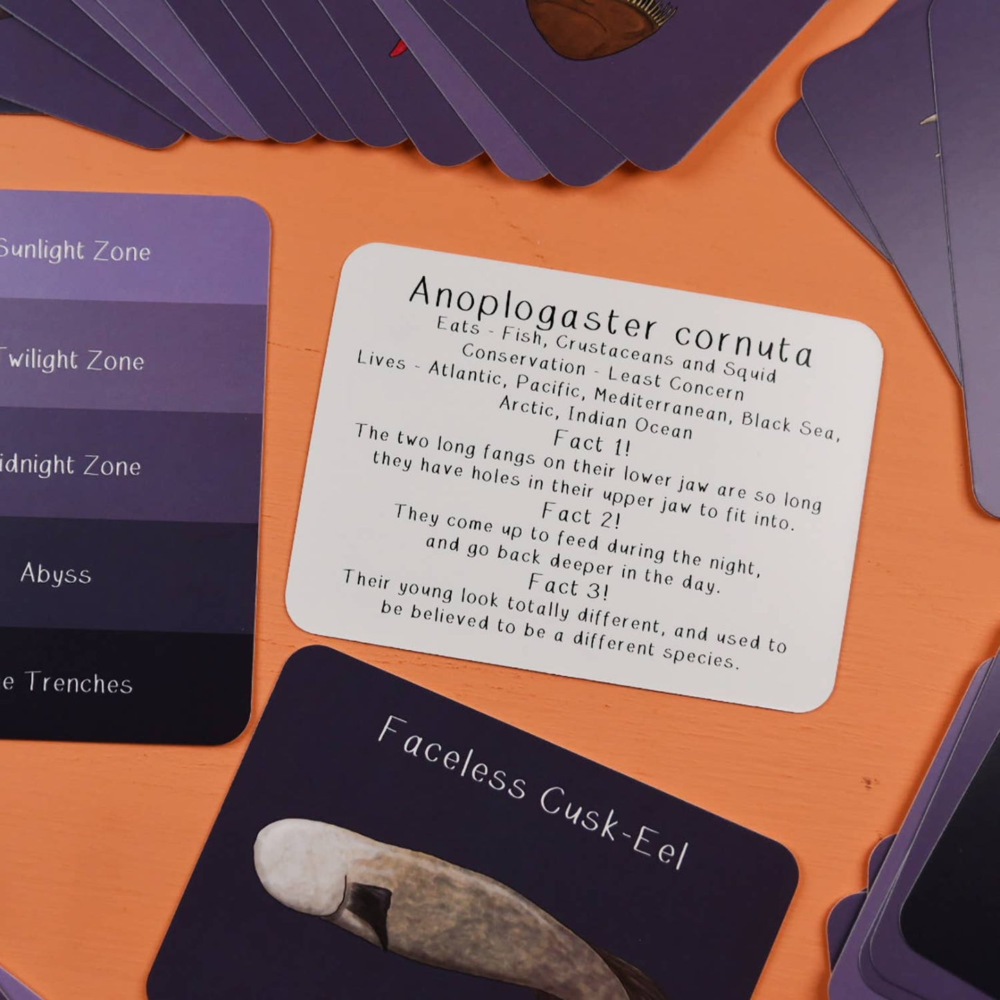 Button & Squirt - Amazing Animals of the Deep Fact Cards