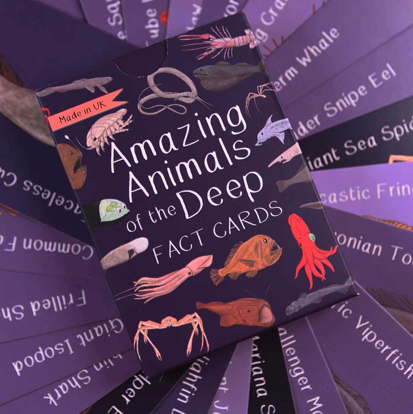 Button & Squirt - Amazing Animals of the Deep Fact Cards