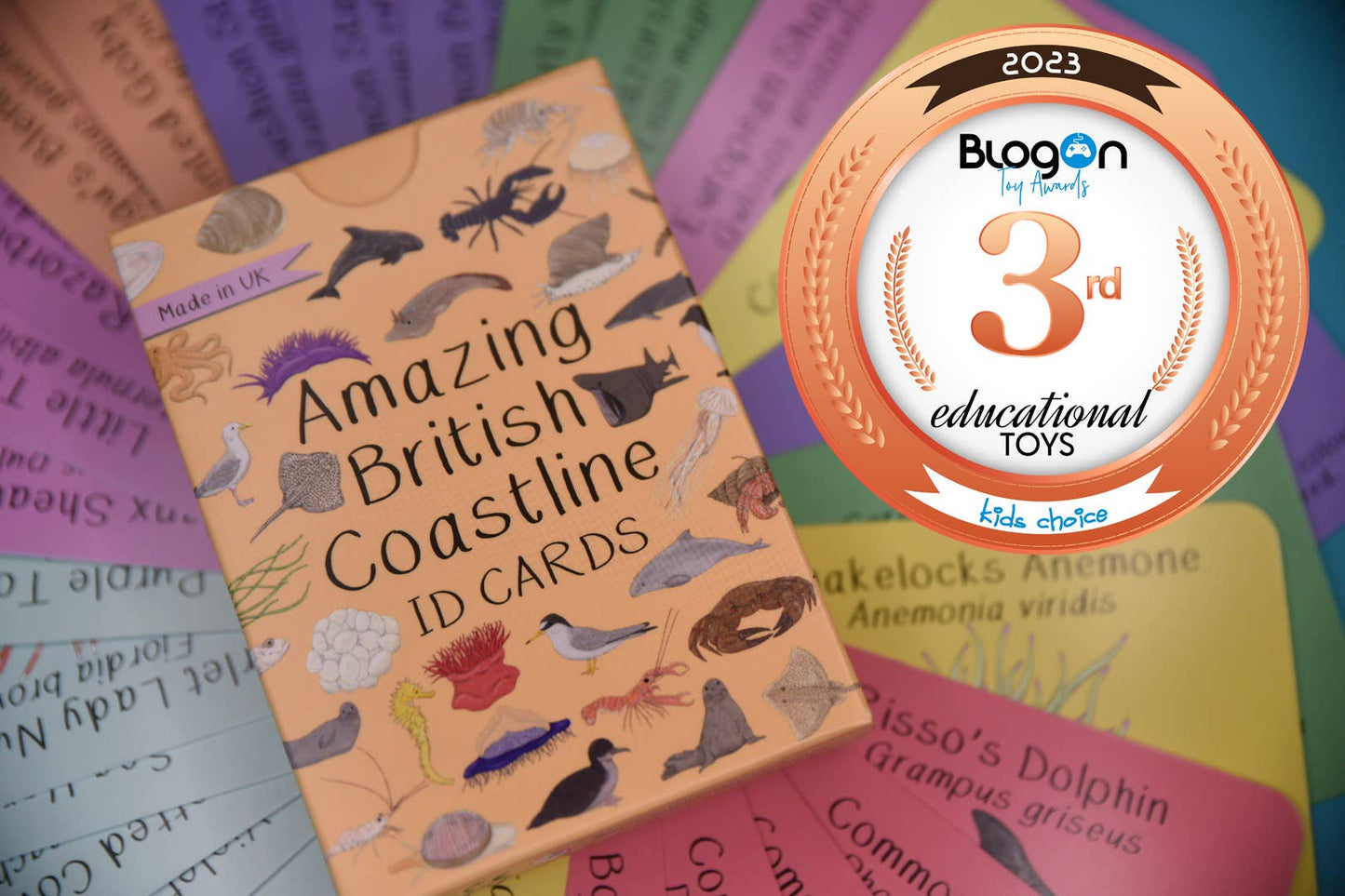 Button & Squirt - Amazing British Coastline ID Cards