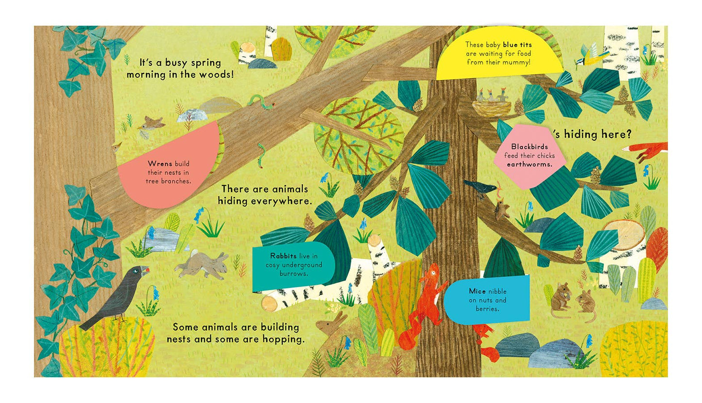 Nosy Crow - National Trust: Who's Hiding in the Woods?