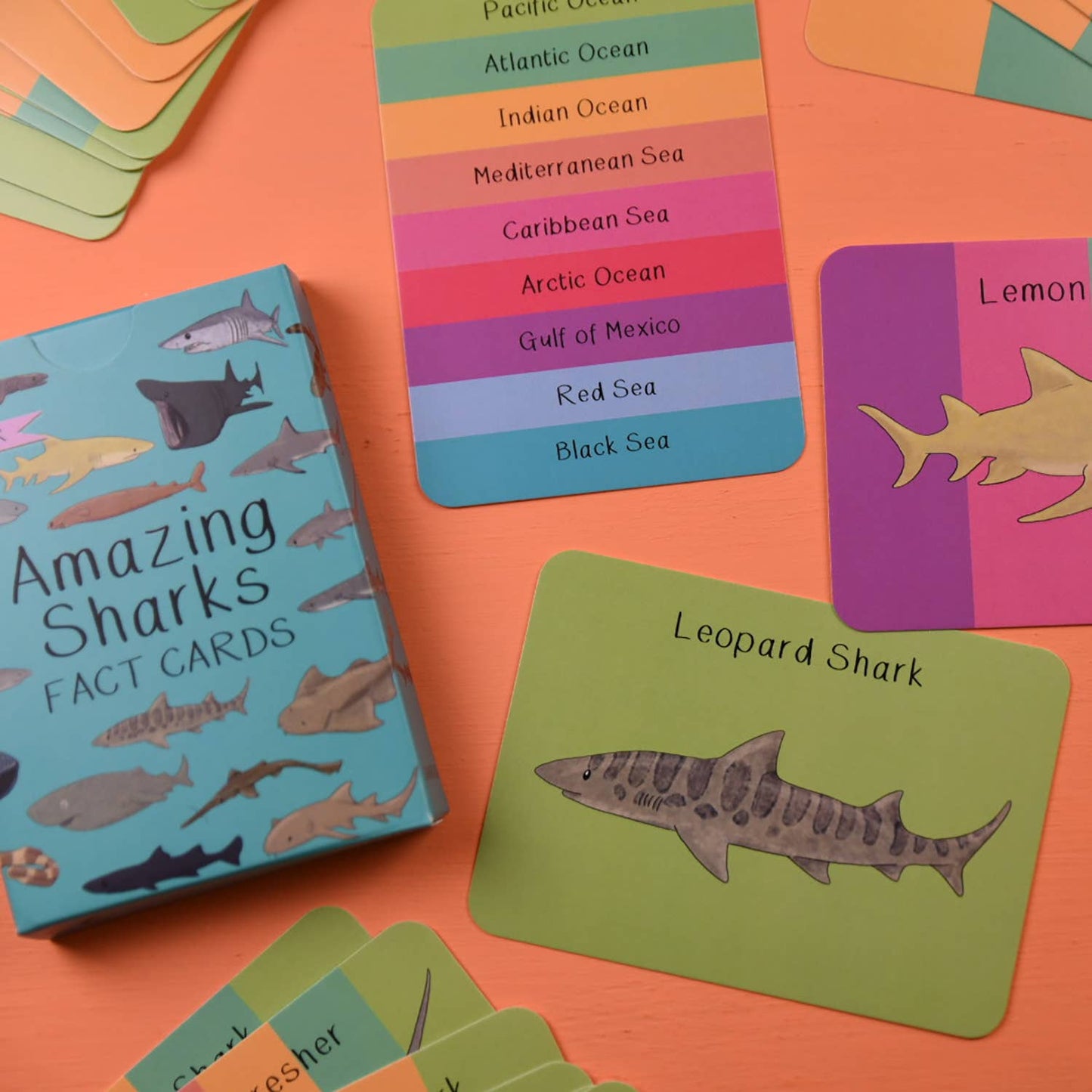 Button & Squirt - Amazing Sharks Fact Cards