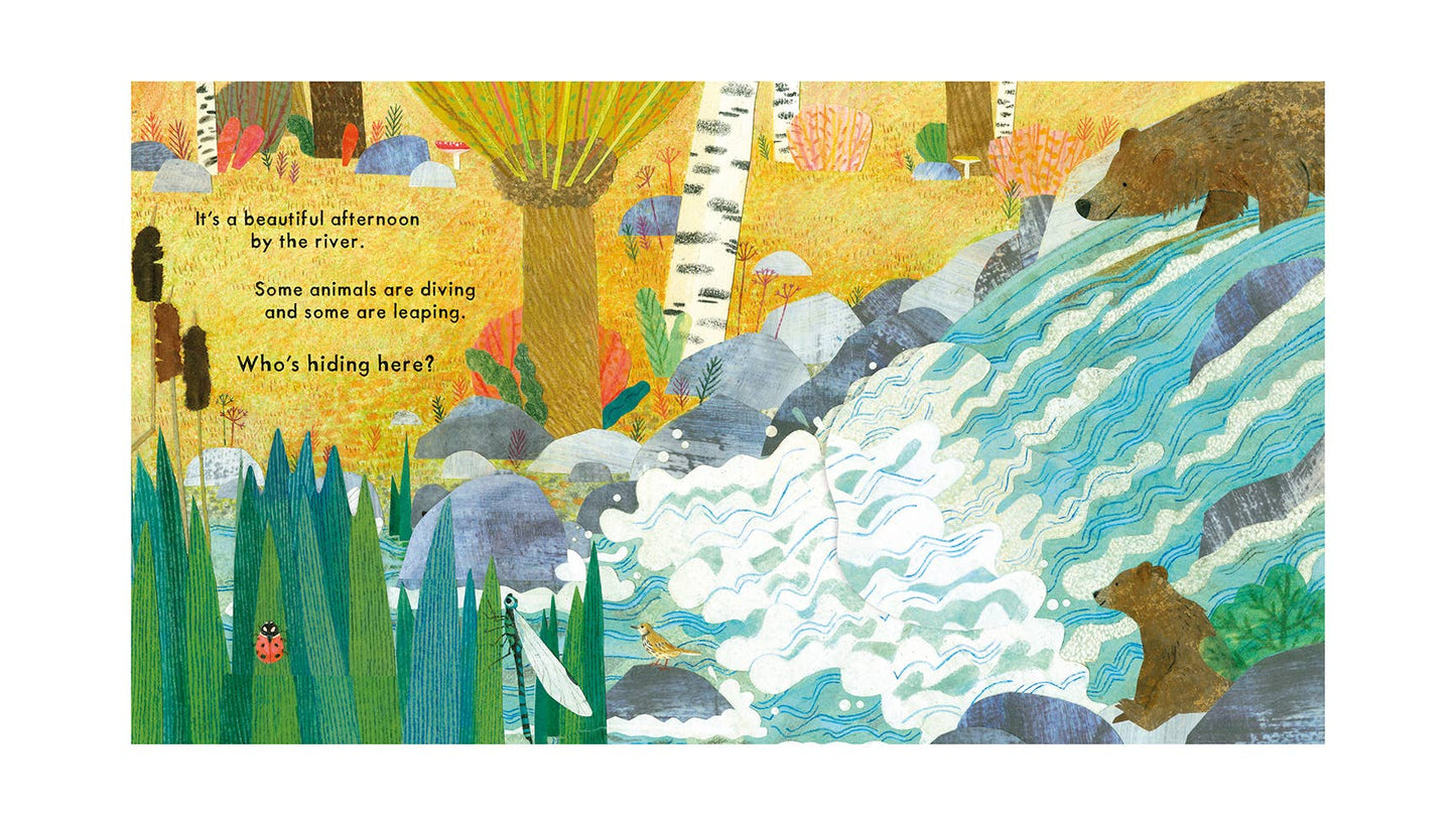 Nosy Crow - National Trust: Who's Hiding on the River?