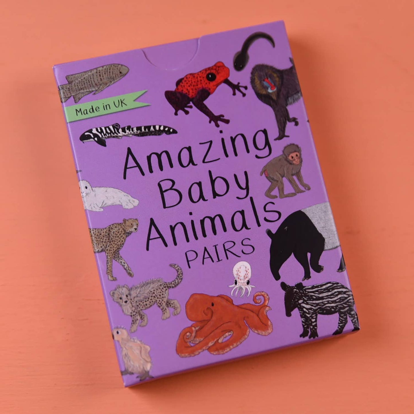 Button & Squirt - Amazing Baby Animals Matching Pairs