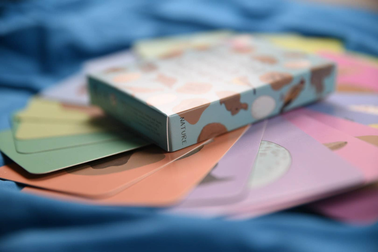 Button & Squirt - Amazing British Nature Matching Pairs