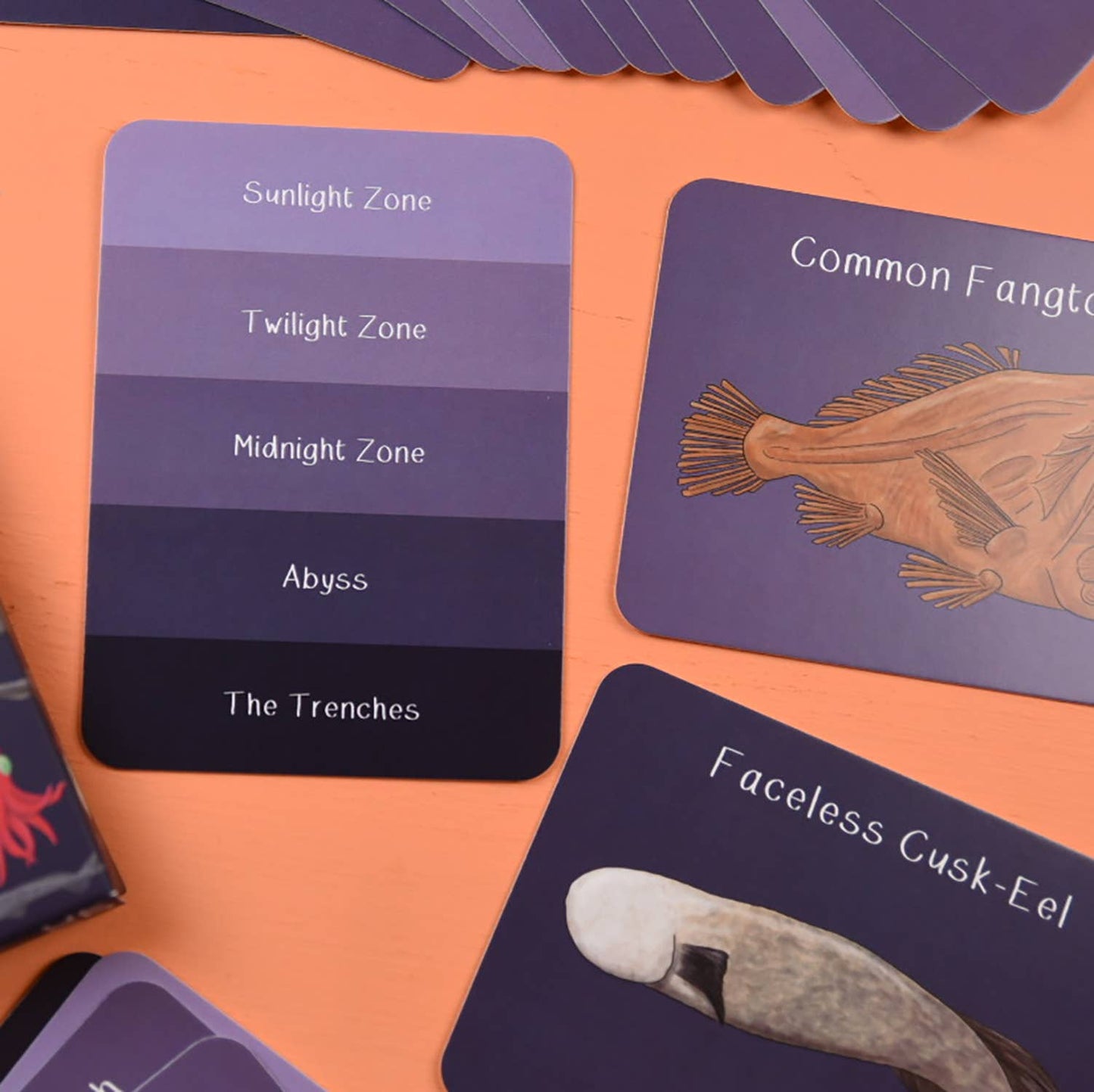 Button & Squirt - Amazing Animals of the Deep Fact Cards