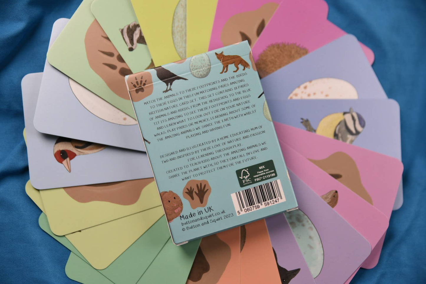 Button & Squirt - Amazing British Nature Matching Pairs