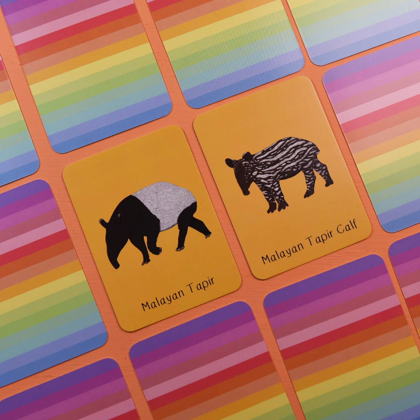 Button & Squirt - Amazing Baby Animals Matching Pairs