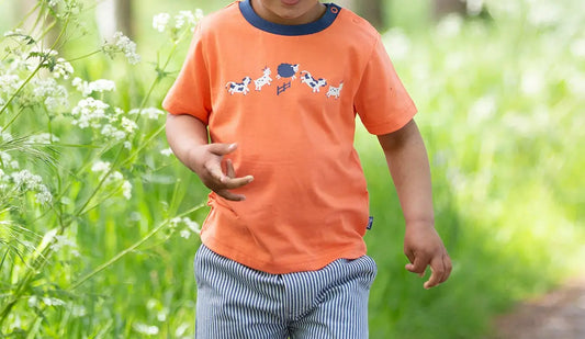 Kite Ticking Shorts 3-6 Years