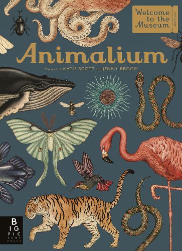 Animalium (Welcome to the Museum) HB