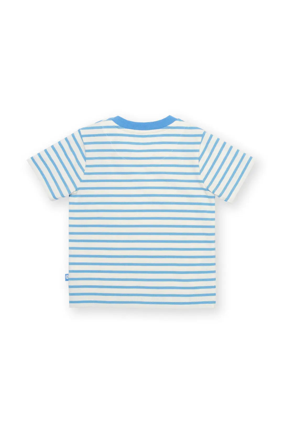 Kite Little Turtle T-shirt