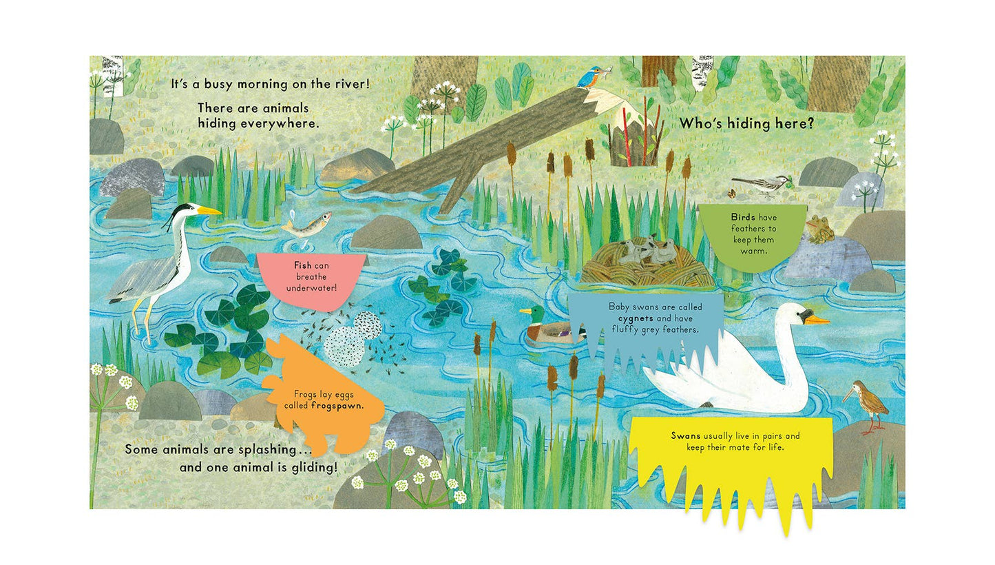 Nosy Crow - National Trust: Who's Hiding on the River?