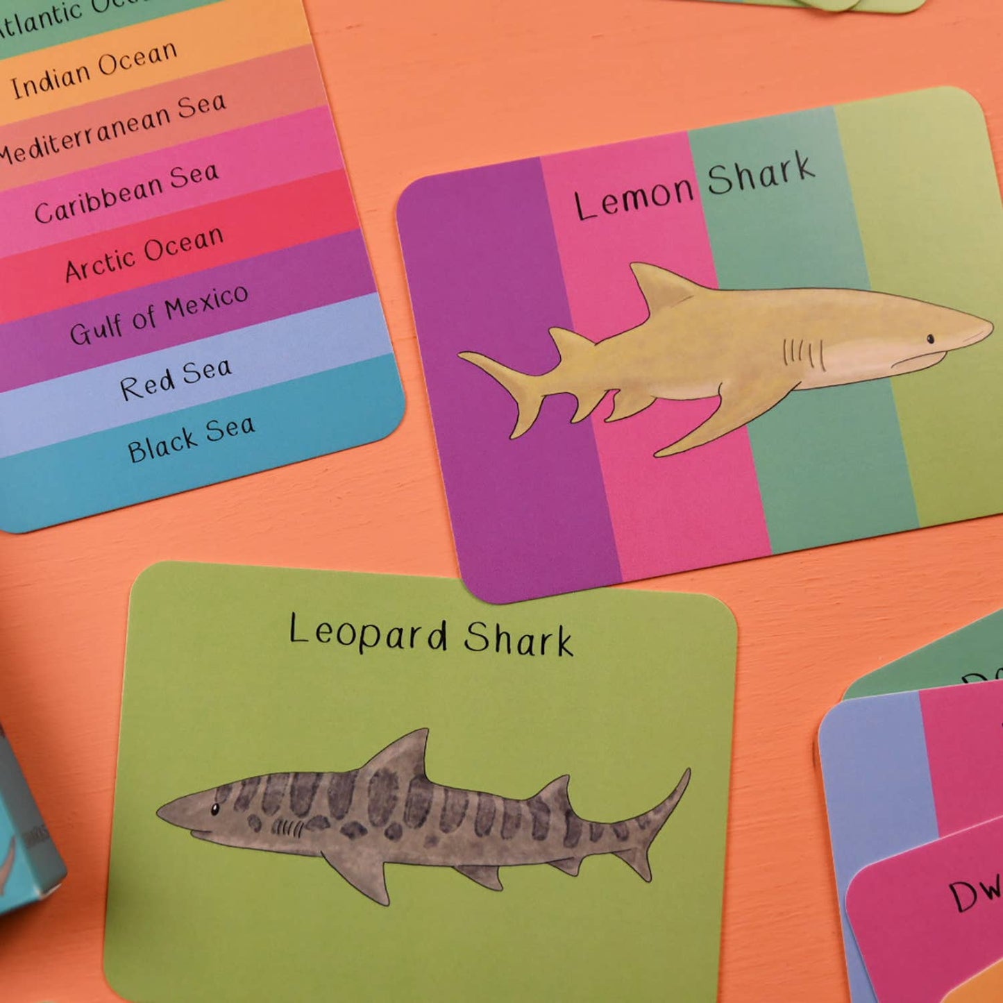 Button & Squirt - Amazing Sharks Fact Cards