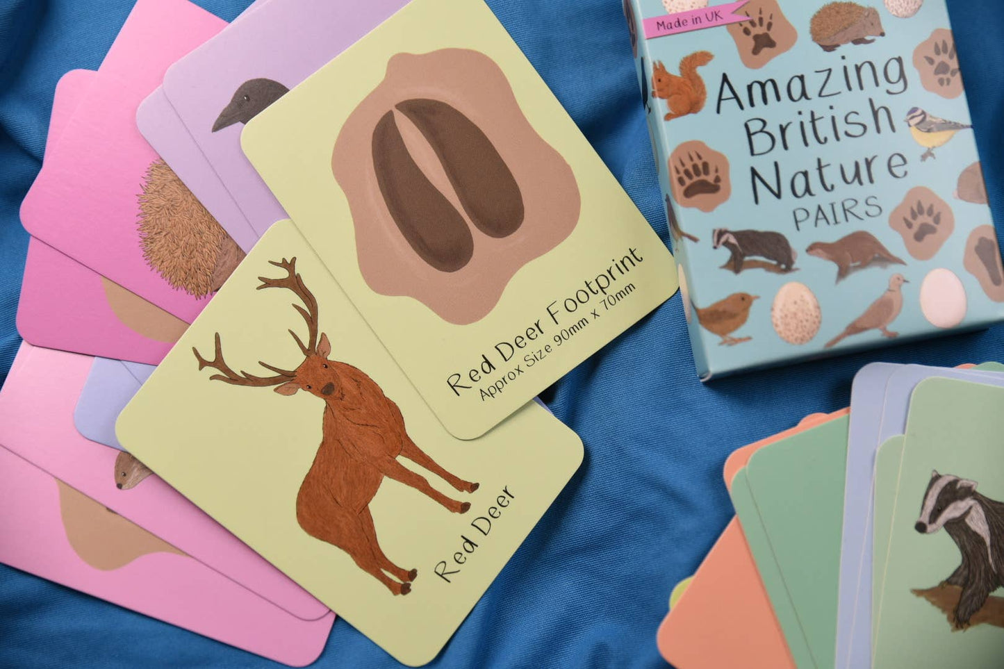 Button & Squirt - Amazing British Nature Matching Pairs