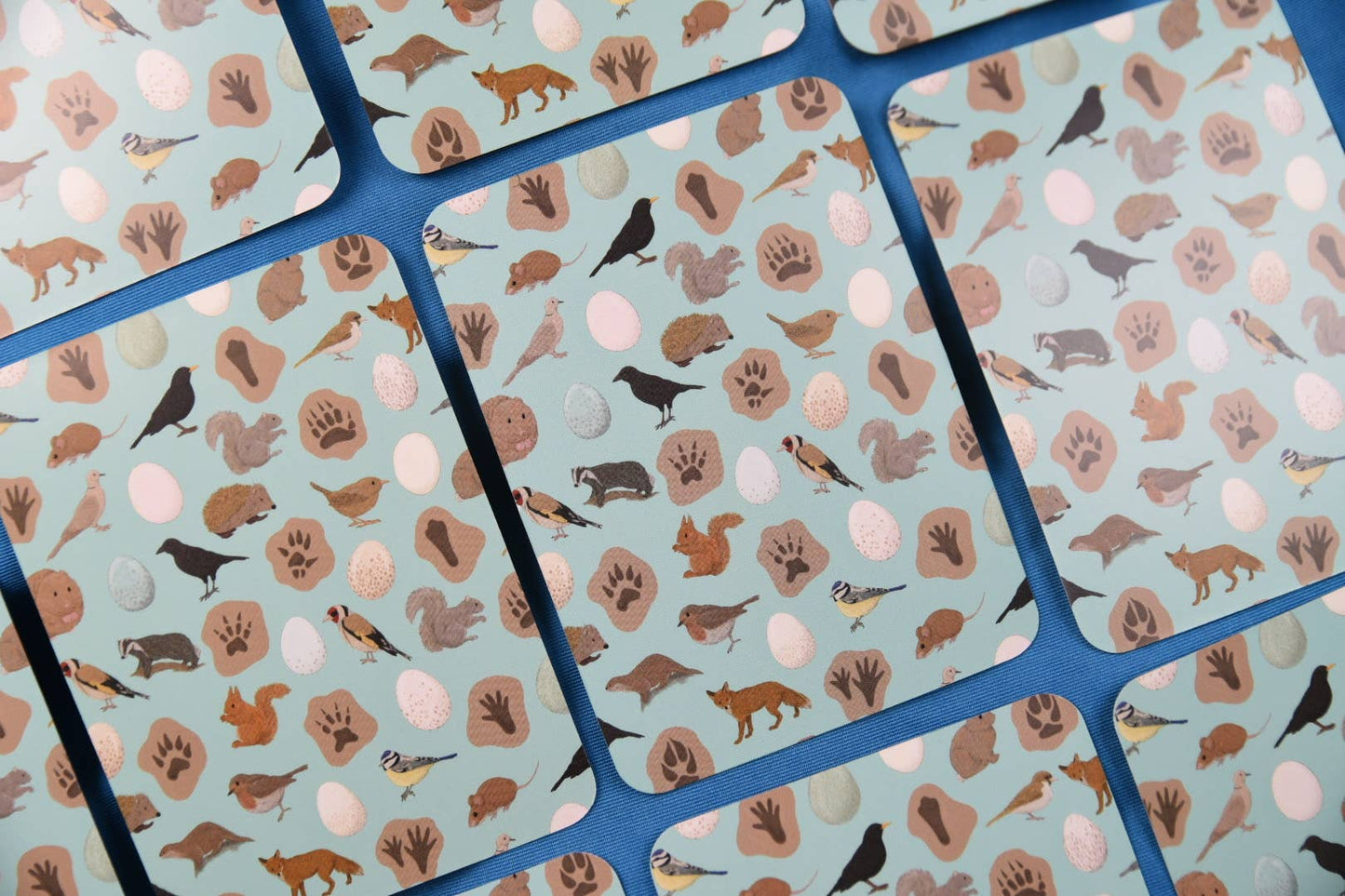 Button & Squirt - Amazing British Nature Matching Pairs