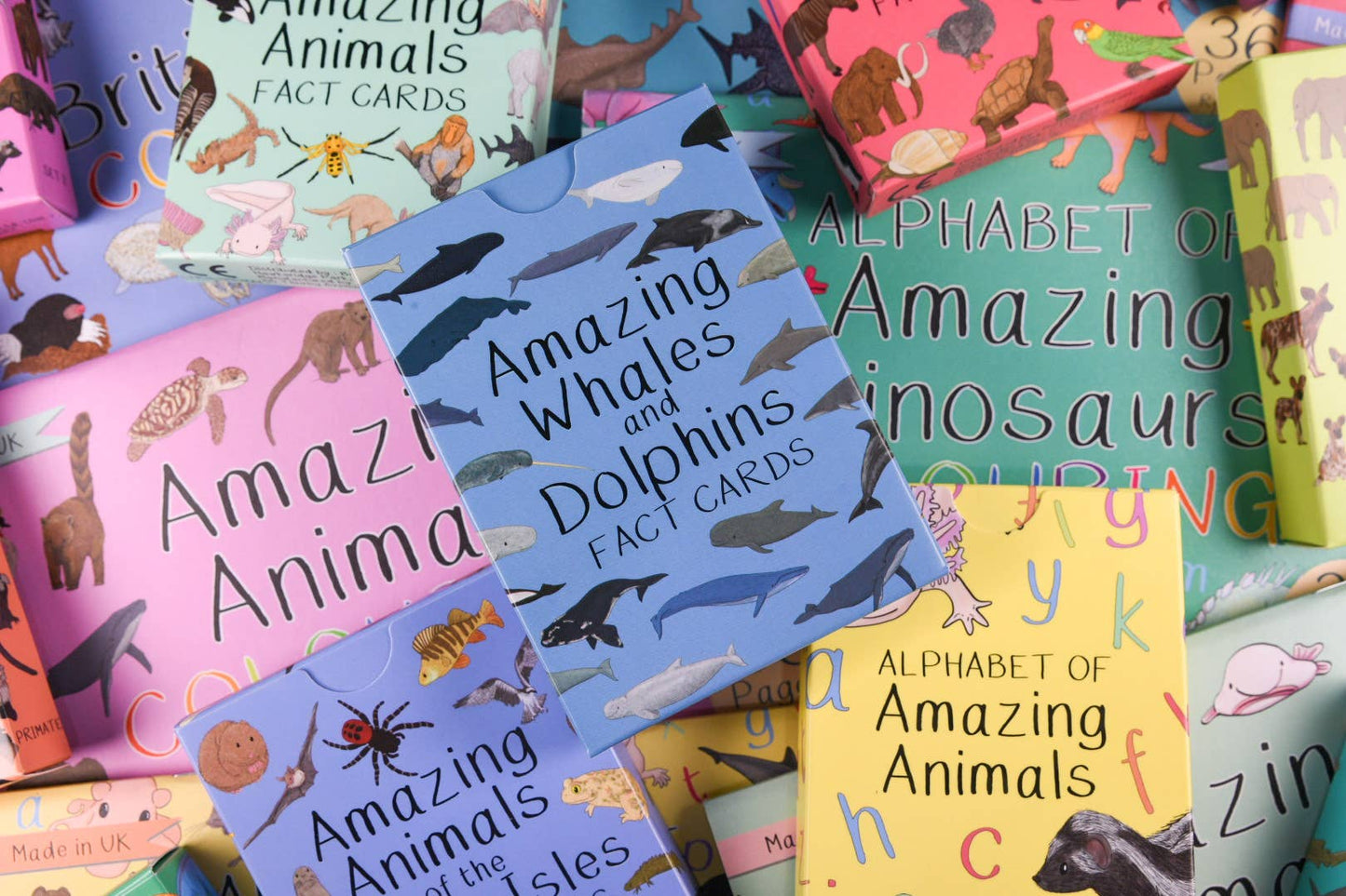 Button & Squirt - Amazing Whales and Dolphins Fact Cards