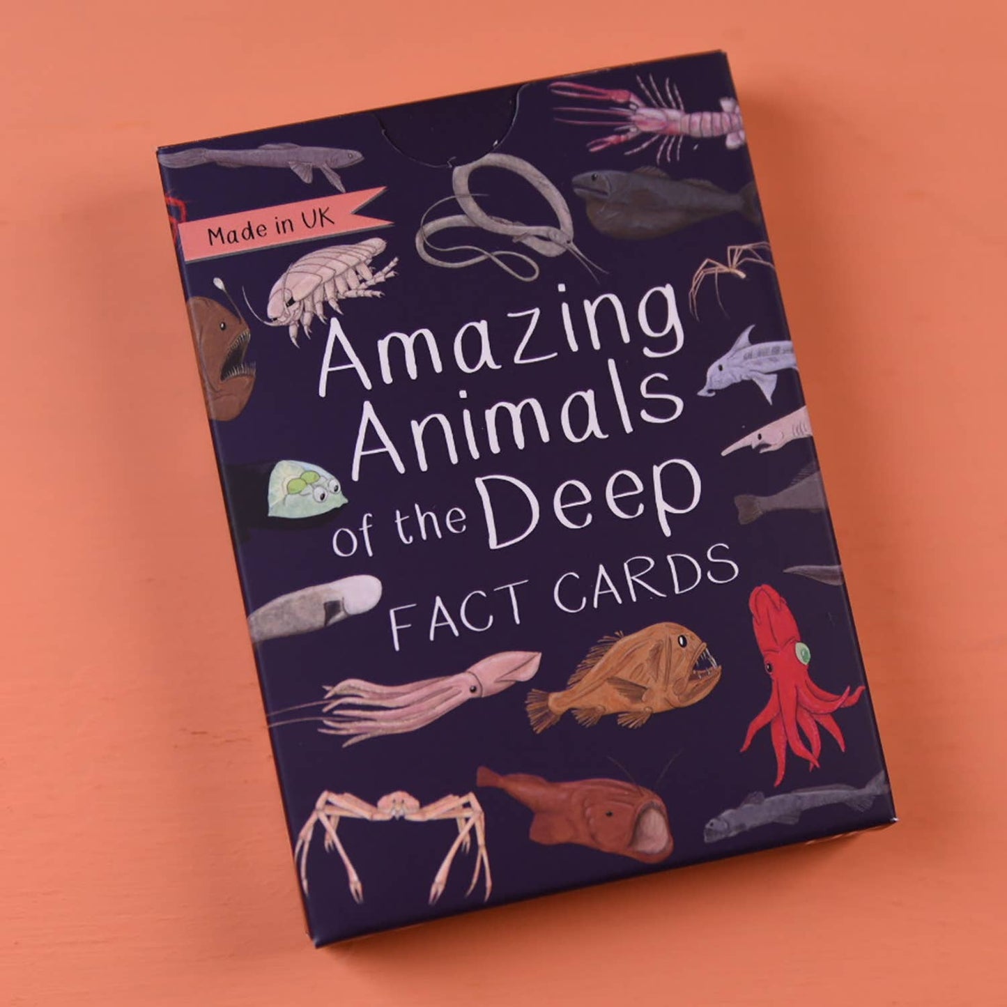 Button & Squirt - Amazing Animals of the Deep Fact Cards