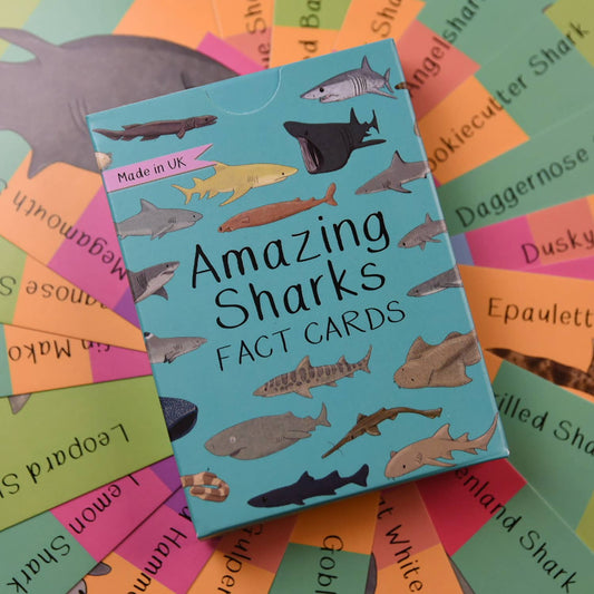 Button & Squirt - Amazing Sharks Fact Cards