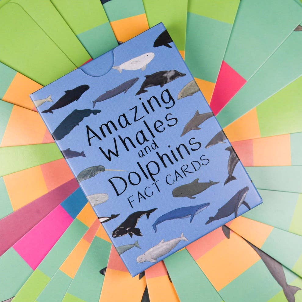 Button & Squirt - Amazing Whales and Dolphins Fact Cards