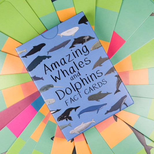 Button & Squirt - Amazing Whales and Dolphins Fact Cards
