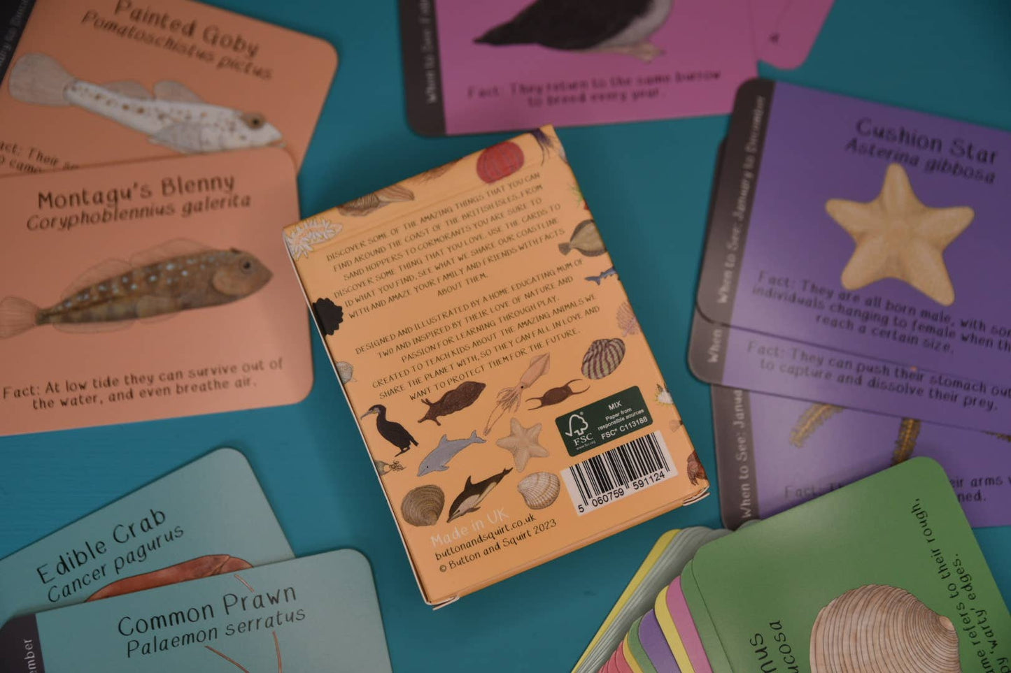 Button & Squirt - Amazing British Coastline ID Cards