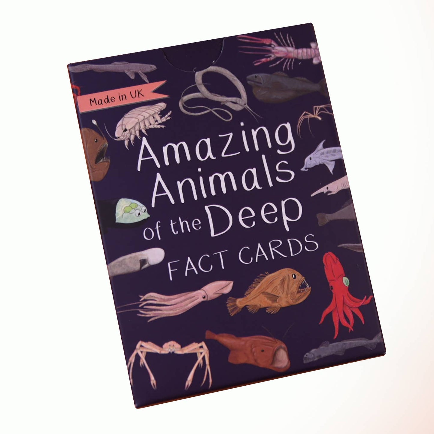 Button & Squirt - Amazing Animals of the Deep Fact Cards