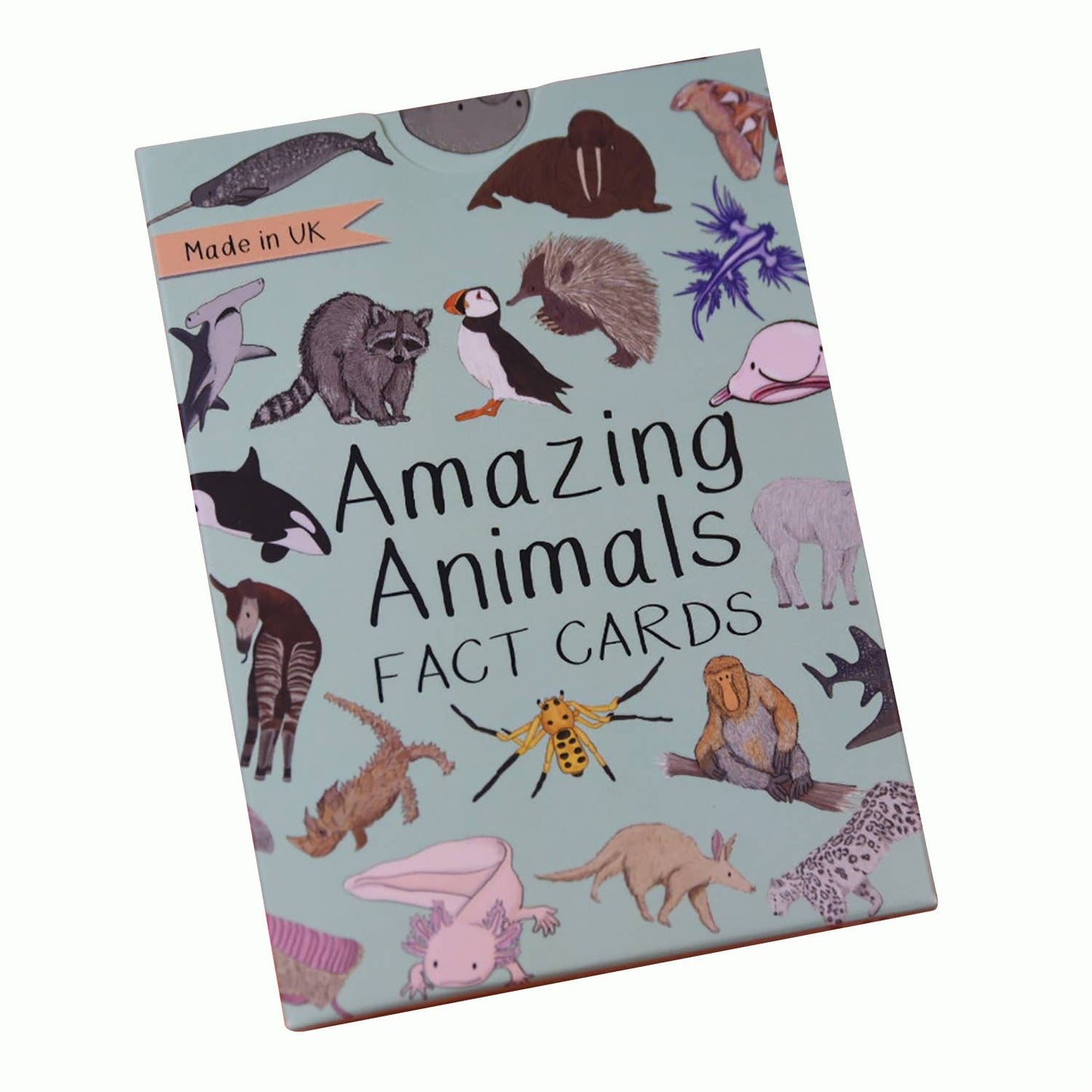 Button & Squirt - Amazing Animals Fact Cards Set One