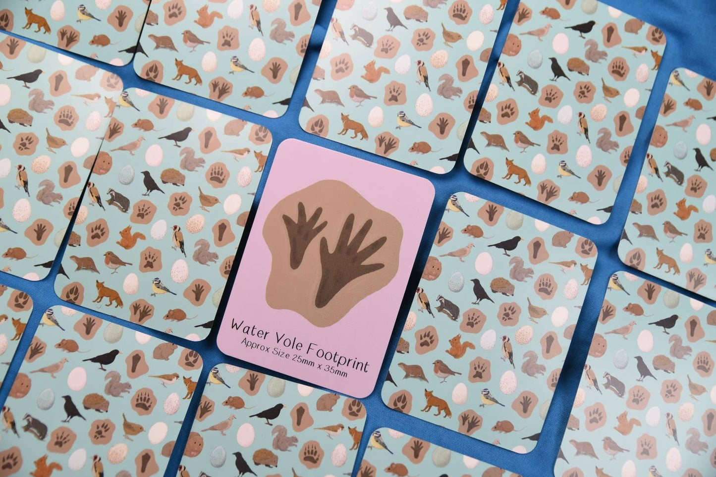 Button & Squirt - Amazing British Nature Matching Pairs