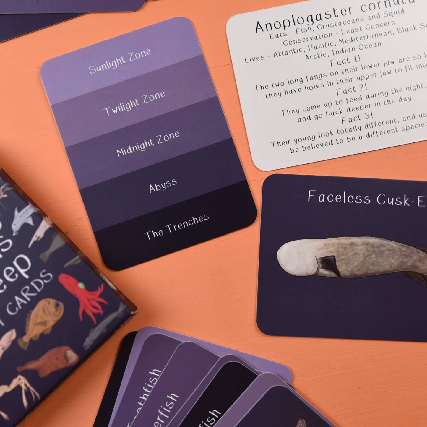 Button & Squirt - Amazing Animals of the Deep Fact Cards